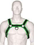 Harnais Club Cuir - Noir/vert